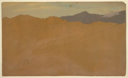 Tegning, palmer og hustak, Ecuador, mai 1857