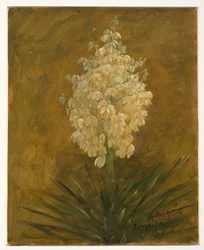 Tegning, plante i blomst, august 1865