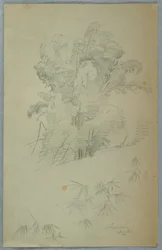 Tegning, studier av trær og grener, Jamaica, august 1865