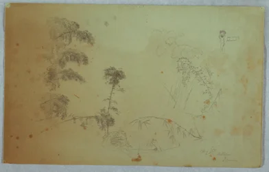 Tegning, studier av trær med detaljer av bambus og en liten detalj av en mann som bærer bananer på hodet, Bellevue, Jamaica, august 1865