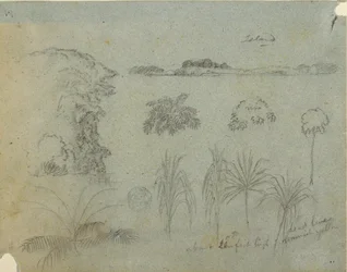 Tegning, studie med tretopper, trær, fem plantedesign og en fjern øy, ca. 1852–53