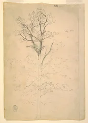 Tegning, tre, september 1844