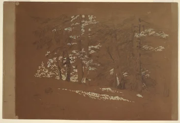 Tegning, trær, Berchtesgaden, Bayern, 1868
