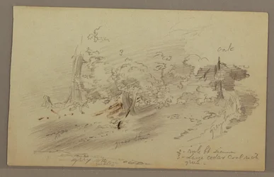 Tegning, trær, muligens 1860-tallet