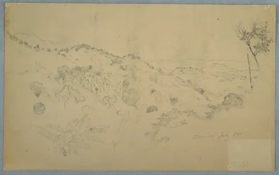Tegning, Skogkledd dal med en stor bregne og fjerne fjellkjeder, Jamaica, juli 1865