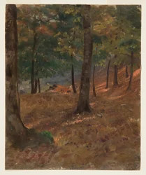 Tegning, skogsscene, 1870–80