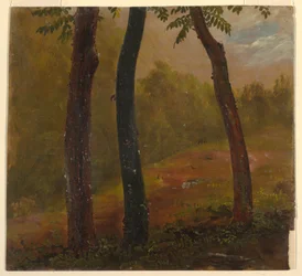Tegning, skogsscene, Jamaica, 1865