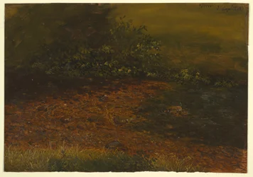 Tegning, skogsbekk i Catskill-fjellene, september 1848