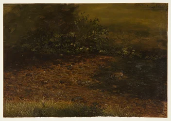 Tegning, skogsbekk i Catskill-fjellene, september 1848