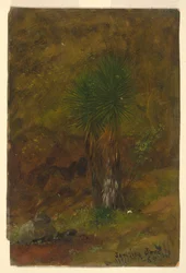 Palmer, Jamaica