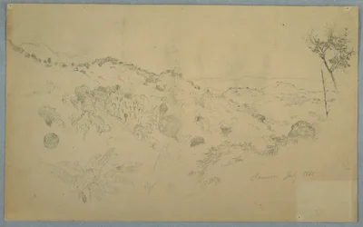 Wooded Vale med en stor bregne og fjerne fjellkjeder, Jamaica