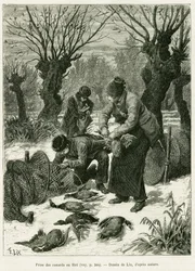 Fang ender i nettet. Gravering av Lix, for å illustrere historien A Through Alsace and Lorraine, i 1887, av Charles Grad, tysk stedfortreder, i tour du monde 1888, regissert av Edouard Charton (1807-1890), Hachette, Paris.