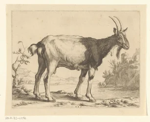 Geit Abraham Bloemaerts tegnebok (serietittel)