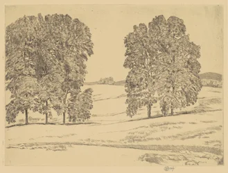 Hickories in a Hayfield, 1917.