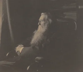 John Ruskin, ca. 1880-årene.