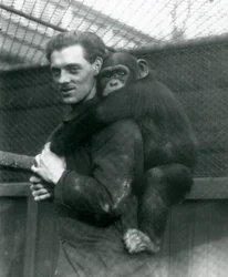 En mann bærer sjimpansen Sally på ryggen, London Zoo, 1924
