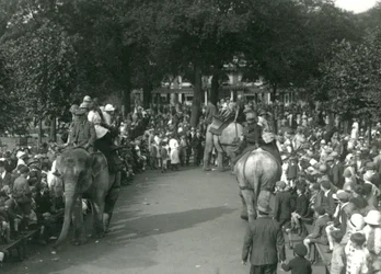 Elefantritt, med tre asiatiske elefanter sett av mengder av tilskuere ved London Zoo i august 1926 (s/hvitt-bilde)