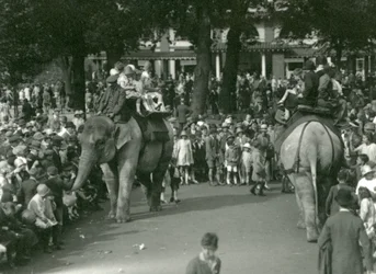 Elephant Rides, med to asiatiske elefanter sett av mengder av tilskuere i London Zoo i august 1926 (s/hv-bilde)