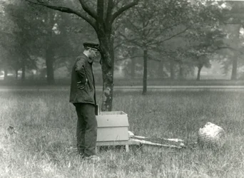 Keeper Brown flyttet en sverm av honningbier, London Zoo, juli 1926