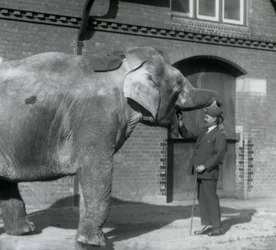 Syed Ali trener Indiarani foran Elephant House, London Zoo, oktober 1925