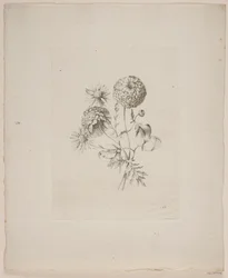 Blomstermotiv