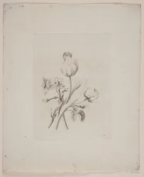 Blomstermotiv