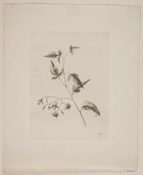 Blomstermotiv