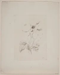 Blomstermotiv