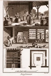 AMDONIER - Amydonnier - "" The Great Encyclopedia, eller Dictionnaire Raisonne des Sciences, des Arts et des Metiers" (Encyclopedia or Dictionary of the Sciences, Arts and Professions) av Denis Diderot (1713-1784) og Jean d