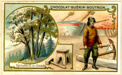 Reklamekromolitografi av Guérin Boutron-sjokolade (kromolitografi)
