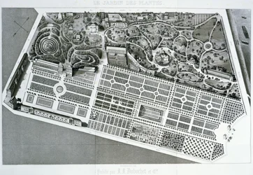 Luftfoto av planen til Jardin des Plantes i Paris, 1842
