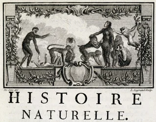 Allegori om naturhistorie på apene - i "" Natural, generell og spesiell historie"" av Buffon