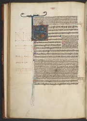 Arundel 84, f.33v, dekorert S initial (vellum)