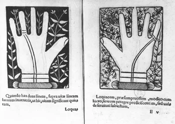 Chiromantic Hands, illustrasjon fra Chiromatiae Principiis ... Anastasis av Bartolommeo della Rocca (Cocles) 1467-1504) 1555