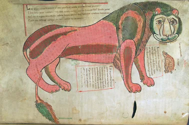 Torsk. Guelf. 1 Gud. lat. (37v), Løven og grisen, fra Liber Floridus av Lambert de Saint-Omer c.1120