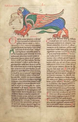 Torsk. Guelf. 1 Gud. lat. 39v, A Griffin Devouring a Man, fra Liber Floridus av Lambert de Saint-Omer c.1120