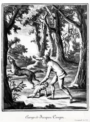Courage of Jacques Cougon, 1799