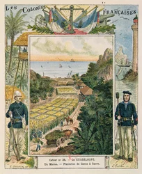 Omslag til en skoleoppgavebok som viser en sukkerrørplantasje i Guadeloupe, 1892