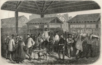 Lager slakterkjøtt på markedet i rue des Prouvaires i 1. arrondissement i Paris - Gravering i "Tableau-de-Paris"" av Edmond Texier 1852