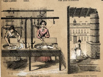 Description of the crop and silk products: workers spinning silk, removing or smothering cocoons. Plate “” la soie”” in “” les Recreations instructives”” Synoptique painting by Jules DELBRUCK, engraving from 1860. Private collection.