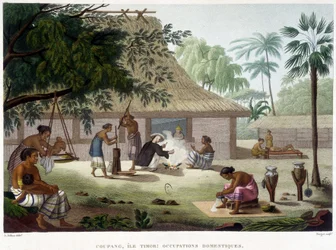 Husholdningsyrker i Coupang, Timor.