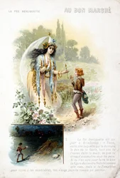 Fairy Berliquette.