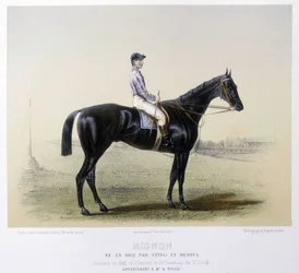 Berømt veddeløpshest - i "" The Centaur"" 1866