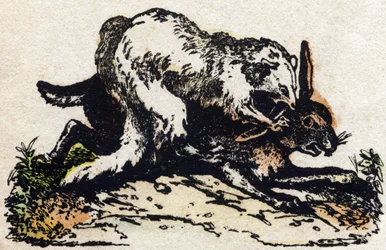 Ilder. Gravering i "" Alphabet des animaux sauvages"". 9. serie. Bilder av Epinal, Pellerin, trykkeri-utgiver, ca. 1870. Graveringer på tre, stensilert. 16 sider. Mål: 20 x 15 cm. Privat samling