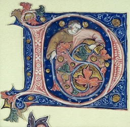 Historikert initial D som viser en mann som holder en vintreet
