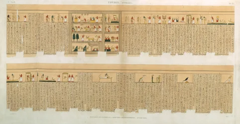 Illustrasjoner av et Pampus-manuskript med hieroglyfer, Hypogees, Theben, plate 75 fra Vol II av `Descriptions of Egypt`, gravert av Willemin, pub. 1822 (akvatint)