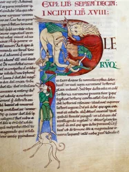 Initial P (bokstav): gjærdjevelens munn i helvete. Miniatyr fra manuskriptet «Moralia in Job», Morales sur Job av Saint Gregoire, fra Citéaux-klosteret.