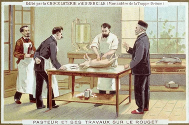 Louis Pasteur (1822-95) arbeider med etterforskning av meslinger, reklamekort for Chocolaterie dAiguebelle