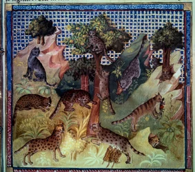 Gaupe villkatter i fjellet. Miniatyr fra "The book of hunting" av Gaston III Phoebus, greve av Foix, Lord of Bearn (1331-1391)