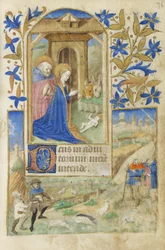 MS 39-1950 f.76r The Nativity, 1464 (gullsølv og farget blekk på pergament)